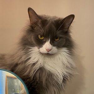 Meet your Posher, Erin